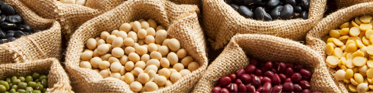 Frutta e verdura asiatico esotico secchi
