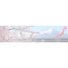 Productos Japón