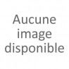 Nouilles