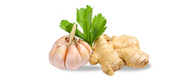  Végétarien 