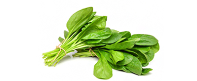  Légumes frais 